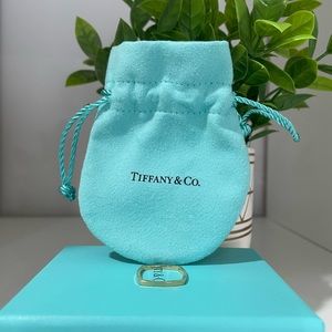 Tiffany & Co Frank Genrv® Torque Micro ring in 18k gold